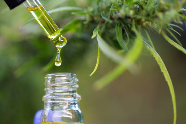What You Should Know About CBD Tinctures - Best Health Tips 365